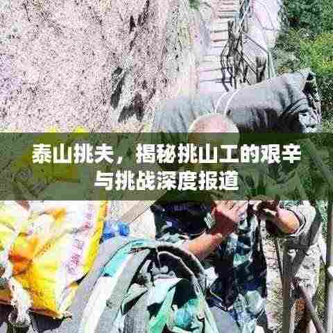 泰山挑夫，揭秘挑山工的艰辛与挑战深度报道