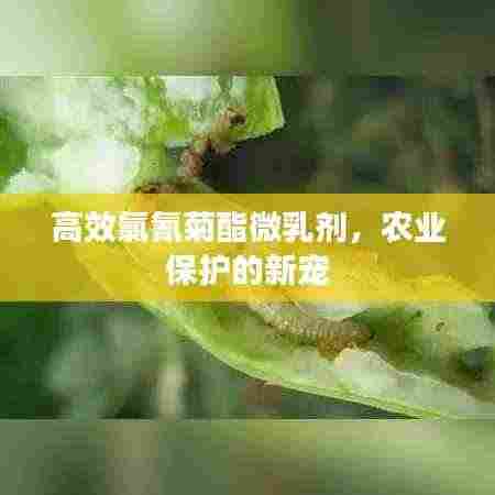 高效氯氰菊酯微乳剂，农业保护的新宠