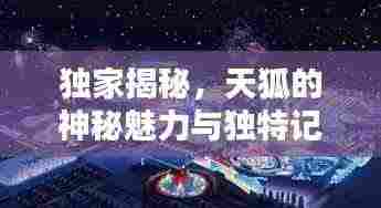 独家揭秘，天狐的神秘魅力与独特记忆