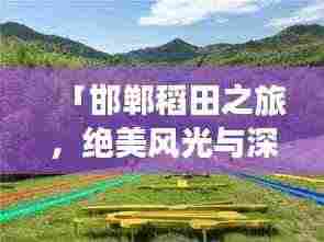 「邯郸稻田之旅，绝美风光与深度体验攻略」