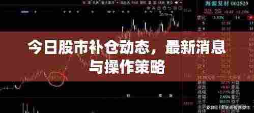 今日股市补仓动态，最新消息与操作策略