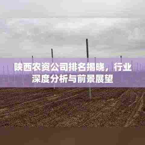 陕西农资公司排名揭晓,行业深度分析与前景展望