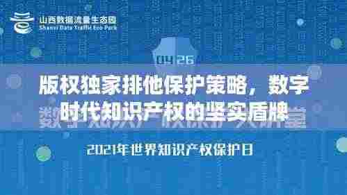 版权独家排他保护策略,数字时代知识产权的坚实盾牌
