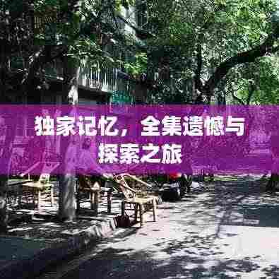 独家记忆,全集遗憾与探索之旅