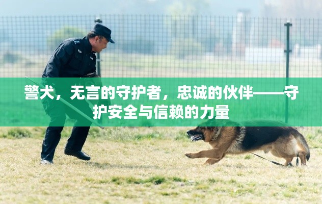 警犬,无言的守护者,忠诚的伙伴——守护安全与信赖的力量