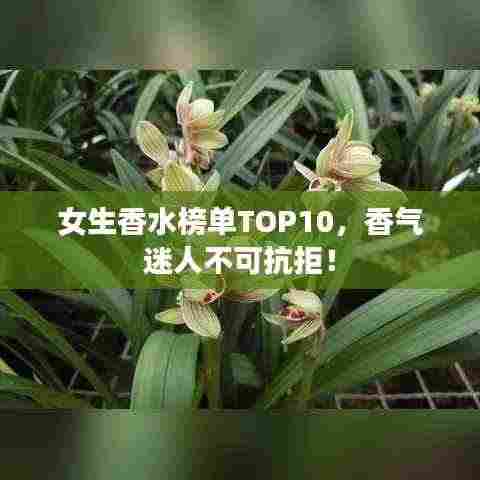 女生香水榜单TOP10,香气迷人不可抗拒!
