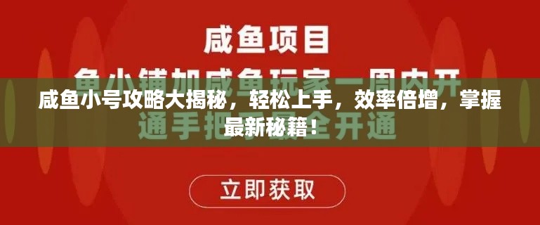 咸鱼小号攻略大揭秘，轻松上手，效率倍增，掌握最新秘籍！