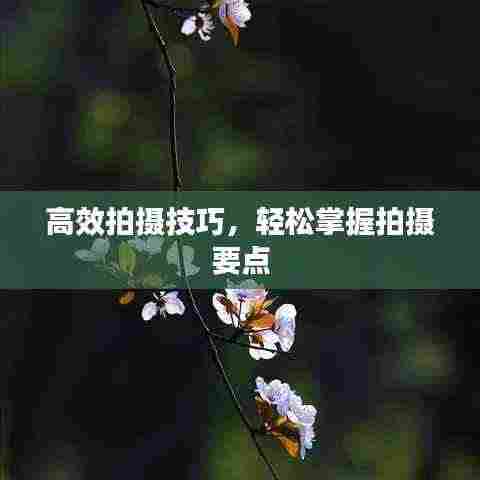 高效拍摄技巧,轻松掌握拍摄要点