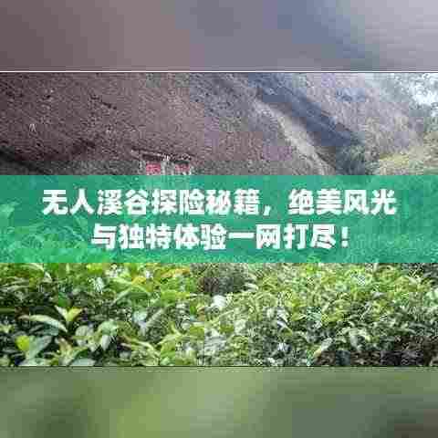 无人溪谷探险秘籍,绝美风光与独特体验一网打尽!