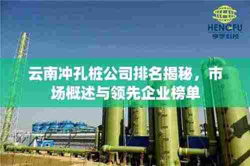 云南冲孔桩公司排名揭秘,市场概述与领先企业榜单