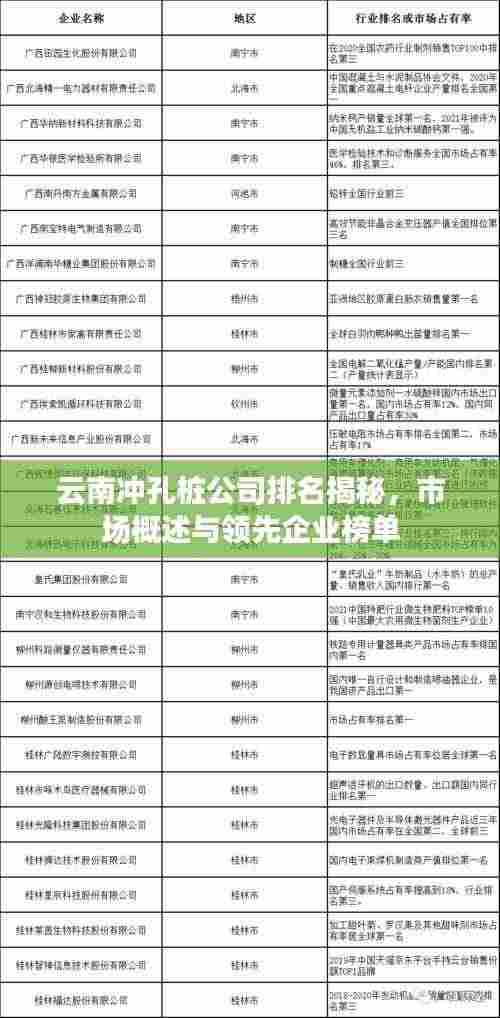 云南冲孔桩公司排名揭秘,市场概述与领先企业榜单