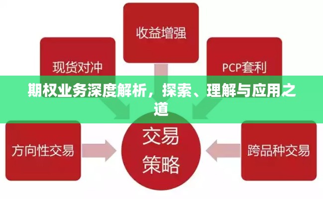 期权业务深度解析，探索、理解与应用之道