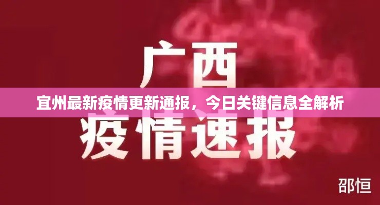 宜州最新疫情更新通报,今日关键信息全解析