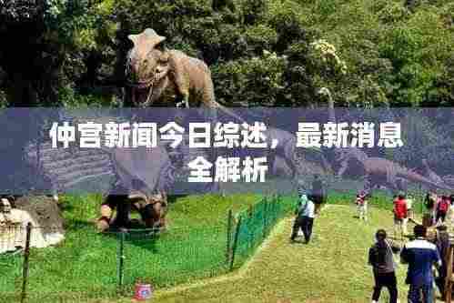 仲宫新闻今日综述，最新消息全解析