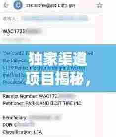 独家渠道项目揭秘,成功要素一网打尽