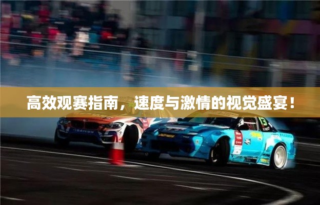 高效观赛指南,速度与激情的视觉盛宴!