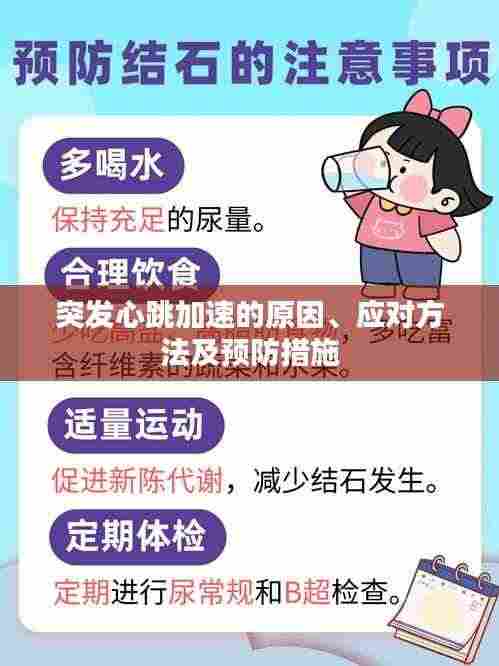 突发心跳加速的原因、应对方法及预防措施