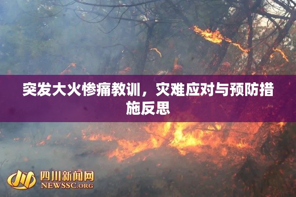 突发大火惨痛教训,灾难应对与预防措施反思