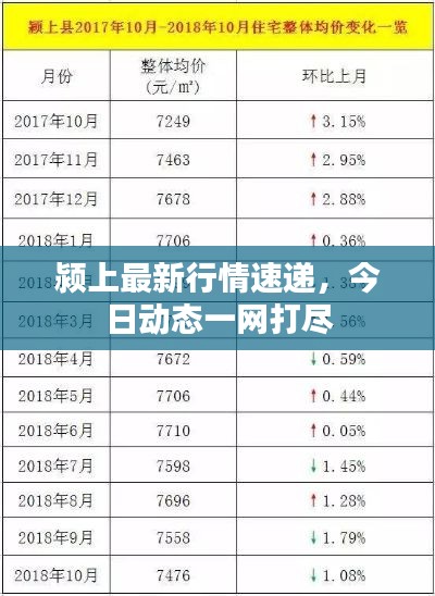 颍上最新行情速递，今日动态一网打尽