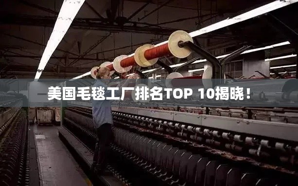 美国毛毯工厂排名TOP 10揭晓!
