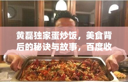 黄磊独家蛋炒饭,美食背后的秘诀与故事,百度收录标准标题