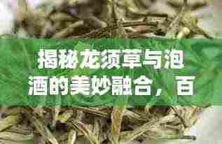 揭秘龙须草与泡酒的美妙融合,百度带你探索独特风味!