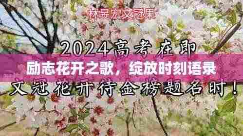 励志花开之歌,绽放时刻语录