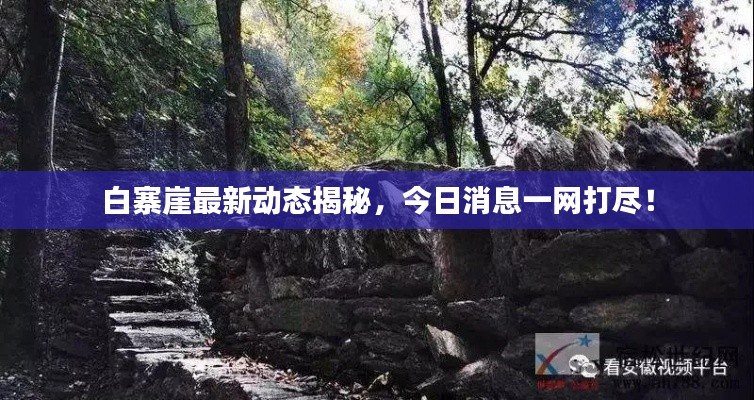 白寨崖最新动态揭秘,今日消息一网打尽!